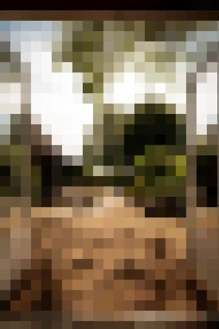Het Engelse Werk 1 Zwolle thumbnail 39