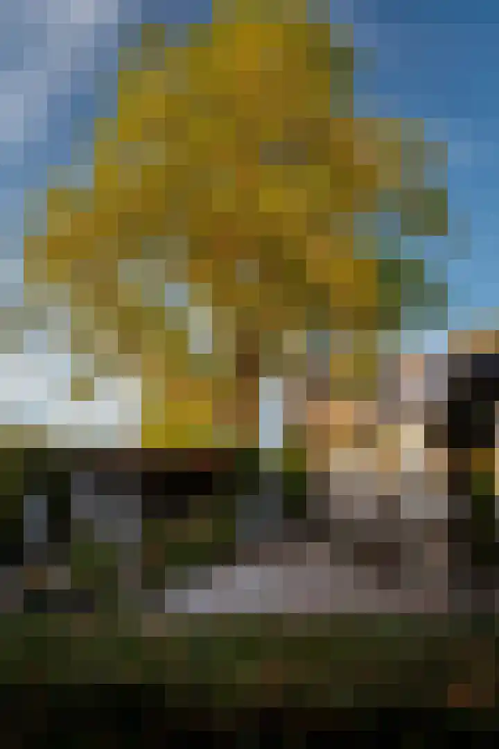 Het Engelse Werk 1 Zwolle thumbnail 41