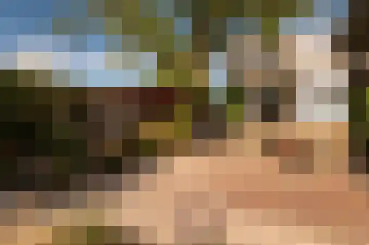 Het Engelse Werk 1 Zwolle thumbnail 42