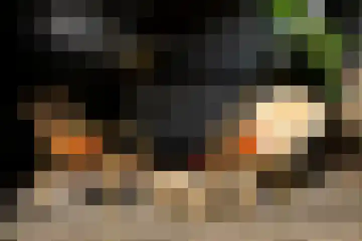 Het Engelse Werk 1 Zwolle thumbnail 45