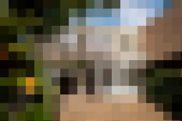 Het Engelse Werk 1 Zwolle thumbnail 49