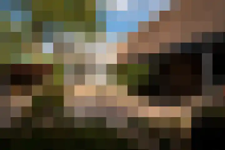 Het Engelse Werk 1 Zwolle thumbnail 50