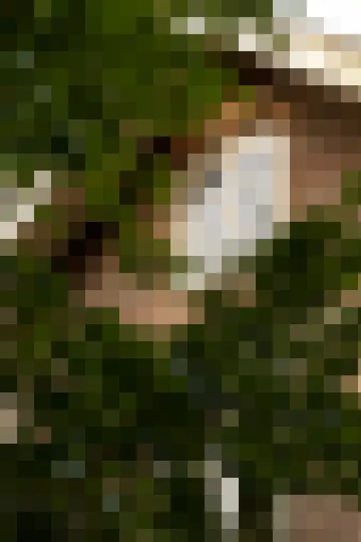 Het Engelse Werk 1 Zwolle thumbnail 57