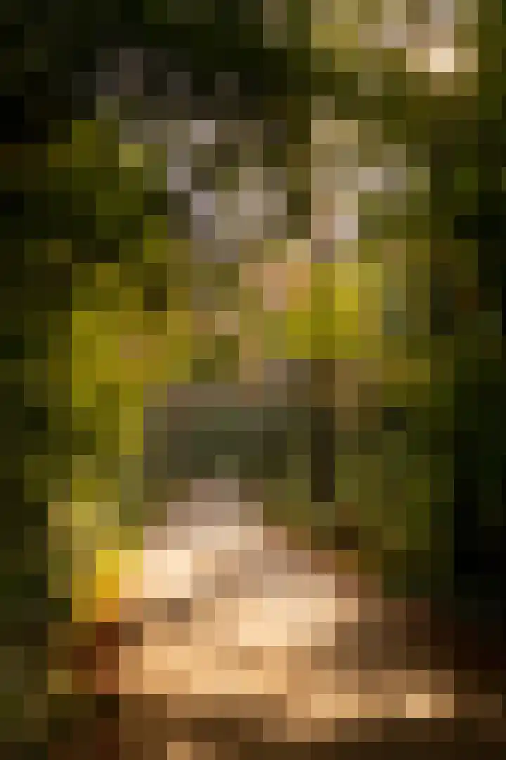 Het Engelse Werk 1 Zwolle thumbnail 58
