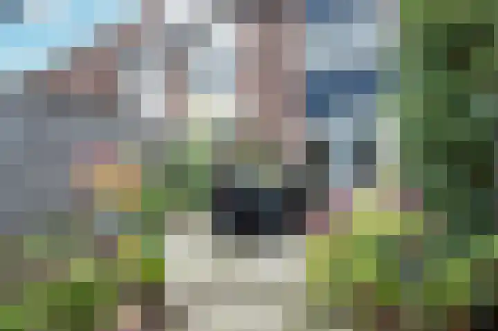 Het engelse werk 3 Amerongen thumbnail 21