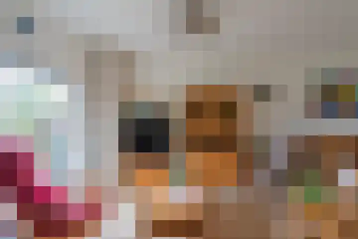 Het engelse werk 3 Amerongen thumbnail 7
