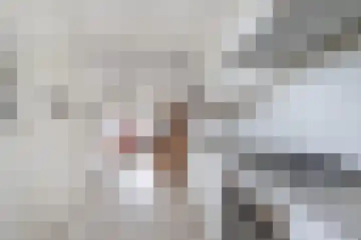 Het engelse werk 3 Amerongen thumbnail 9