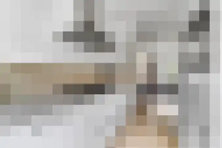 Het engelse werk 65 Amerongen thumbnail 10