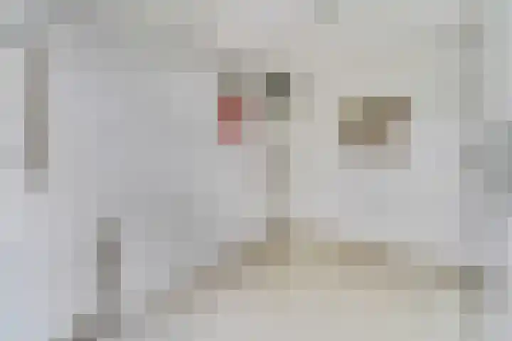 Het engelse werk 65 Amerongen thumbnail 17