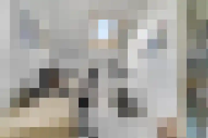 Het engelse werk 65 Amerongen thumbnail 19