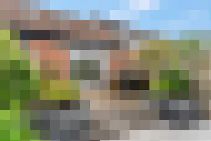 Het engelse werk 65 Amerongen thumbnail 25