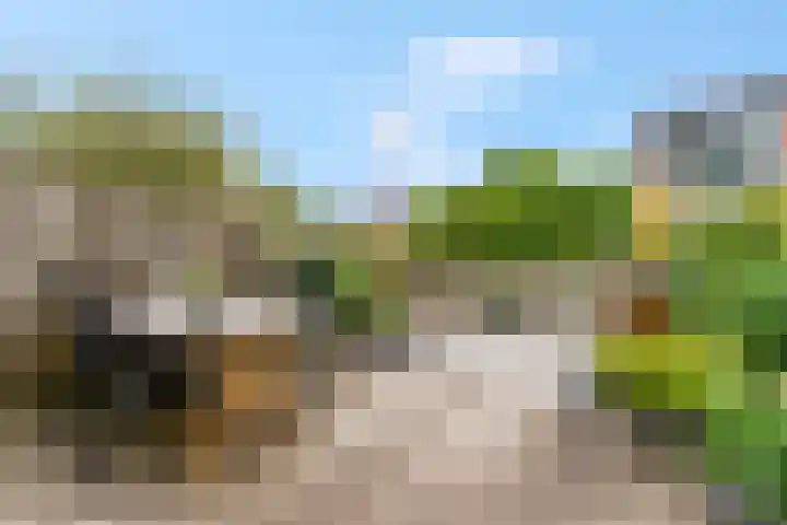 Het engelse werk 65 Amerongen thumbnail 27