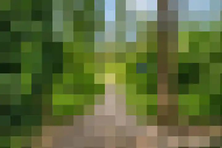 Het engelse werk 65 Amerongen thumbnail 29