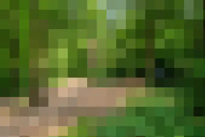 Het engelse werk 65 Amerongen thumbnail 30