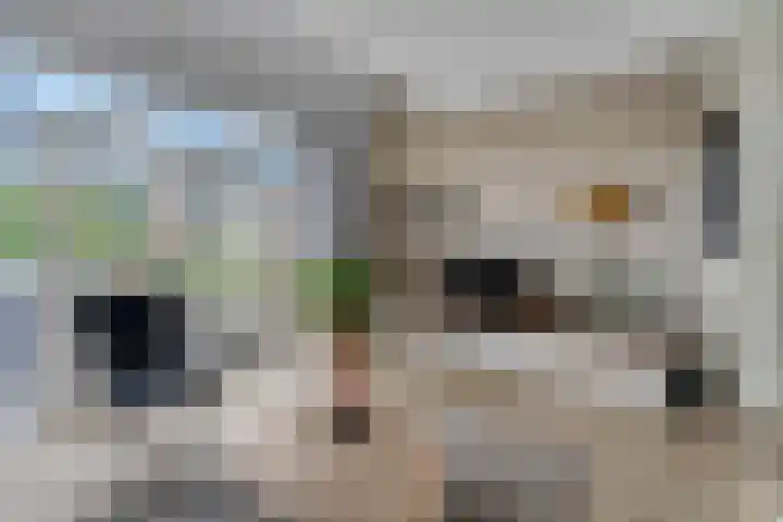 Het engelse werk 65 Amerongen thumbnail 4