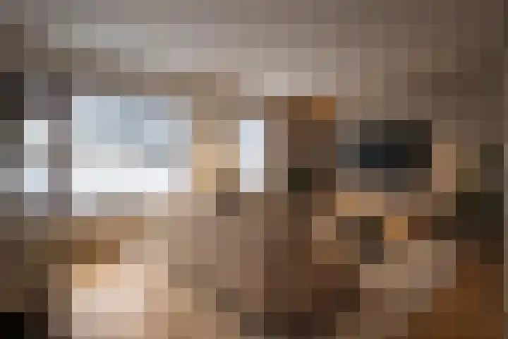 Het Erf 120 Biddinghuizen thumbnail 4