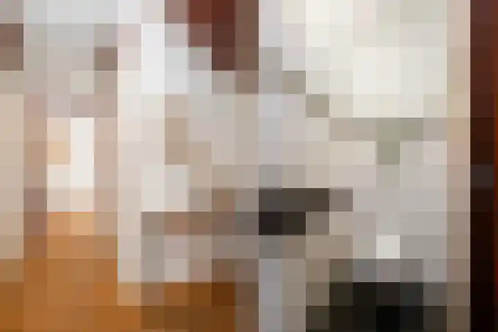 Het Erf 120 Biddinghuizen thumbnail 6