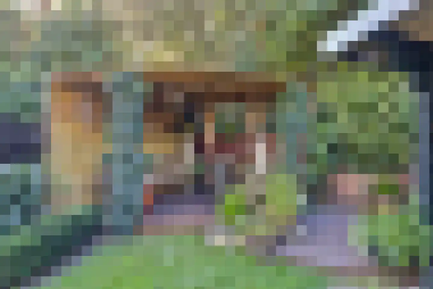 Het Erf 18 Bovenkarspel thumbnail 33