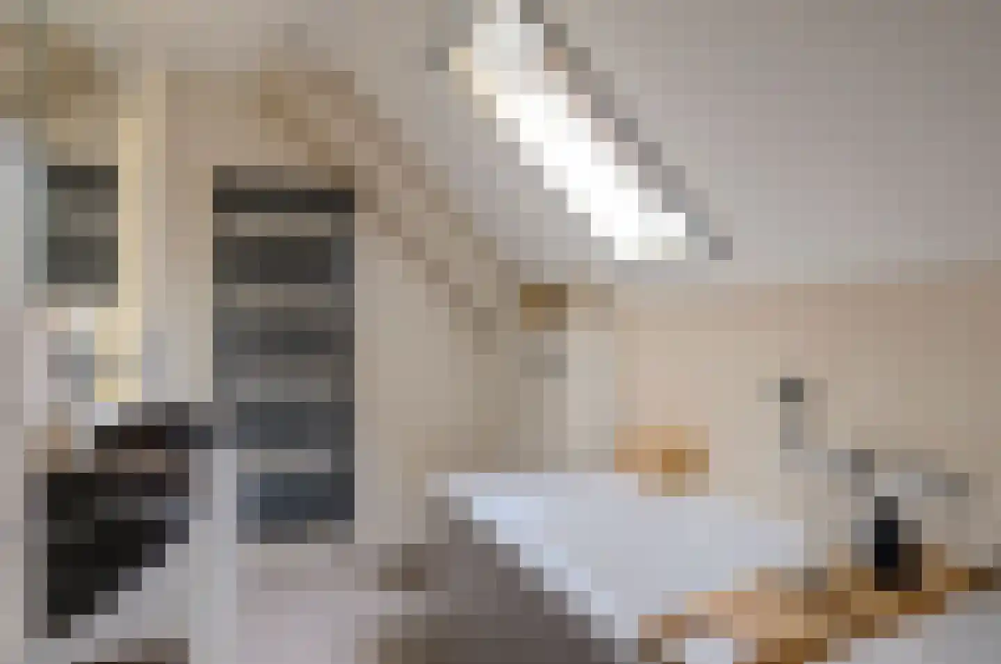 Het Erf 18 Bovenkarspel thumbnail 5