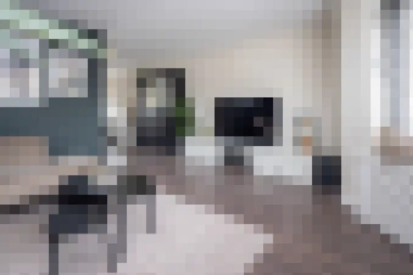 Het Erf 21 Bovenkarspel thumbnail 10