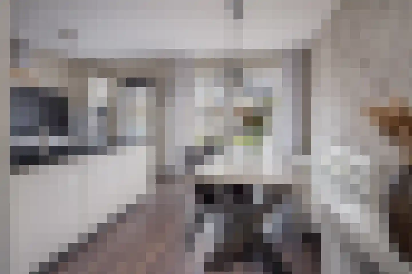 Het Erf 21 Bovenkarspel thumbnail 11