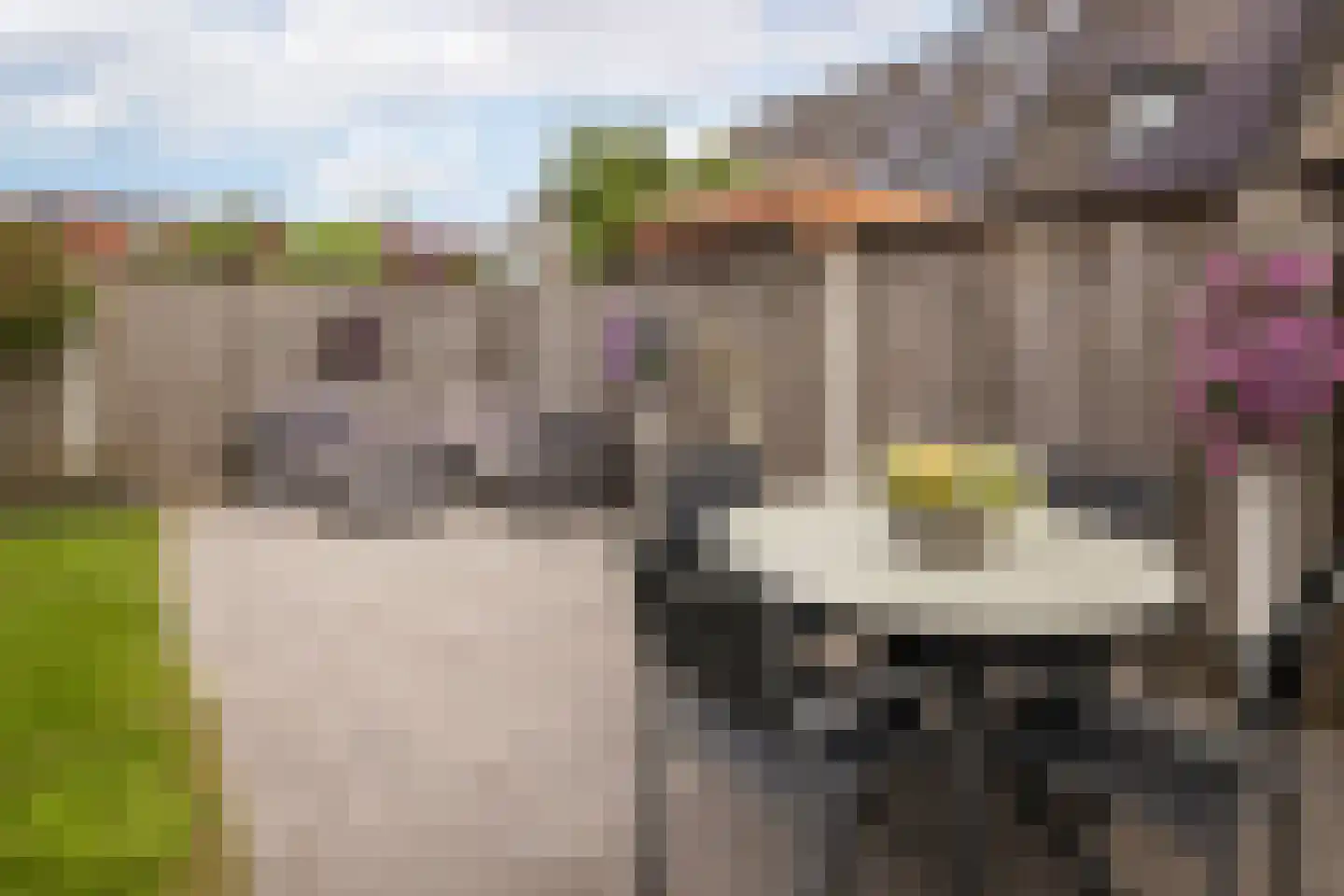 Het Erf 21 Bovenkarspel thumbnail 35