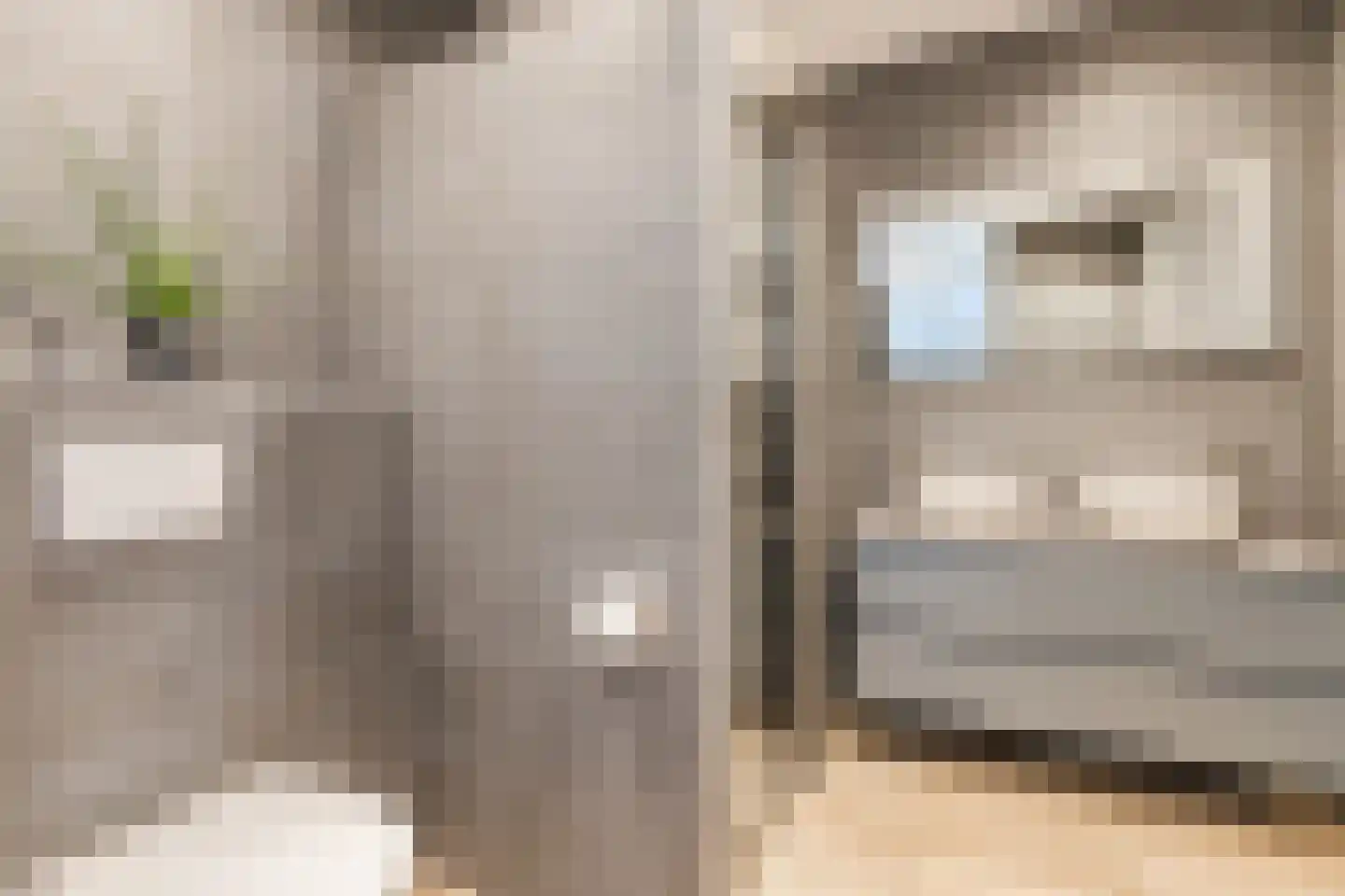 Het Erf 29 Zegveld thumbnail 20