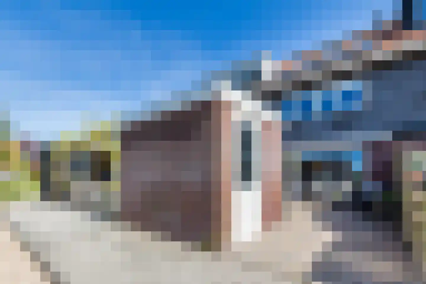 Het Erf 29 Zegveld thumbnail 30