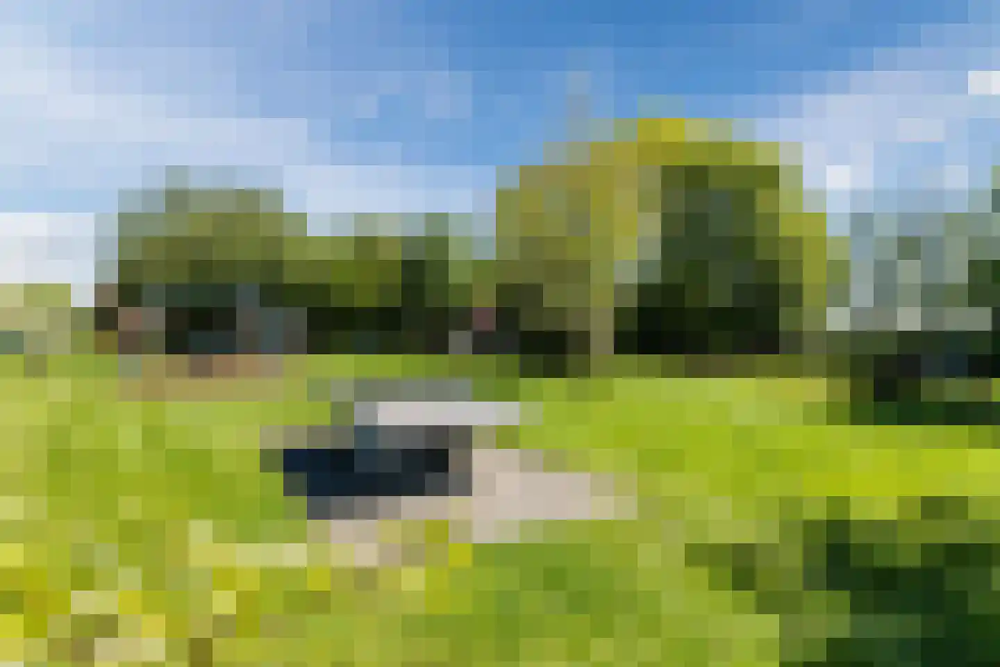 Het Erf 29 Zegveld thumbnail 34