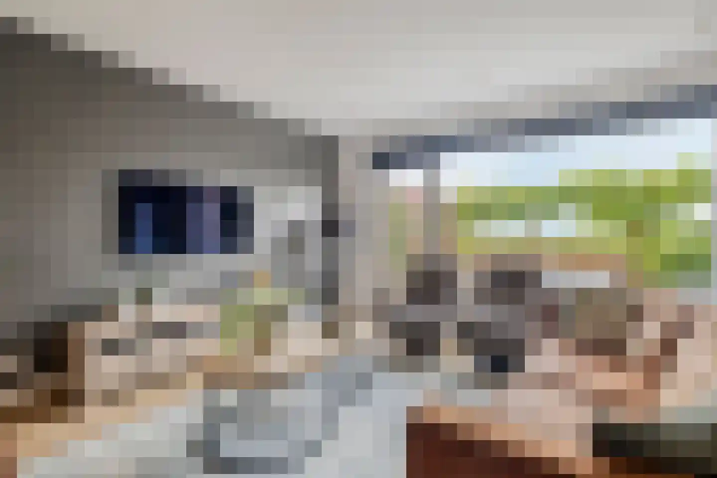 Het Erf 31 Zegveld thumbnail 10