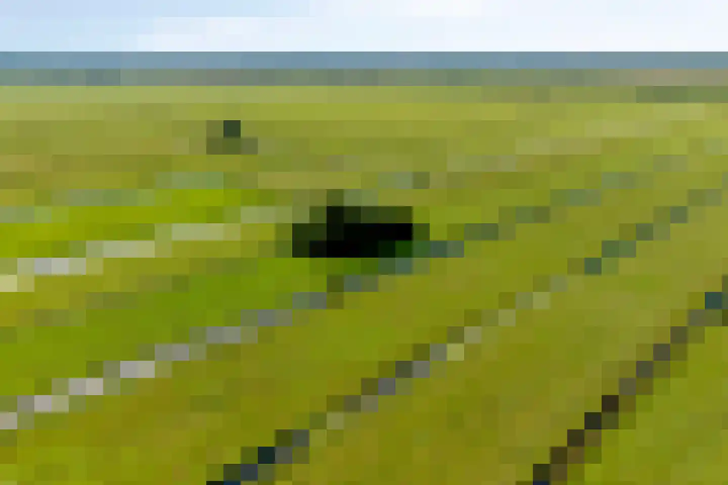 Het Erf 31 Zegveld thumbnail 63