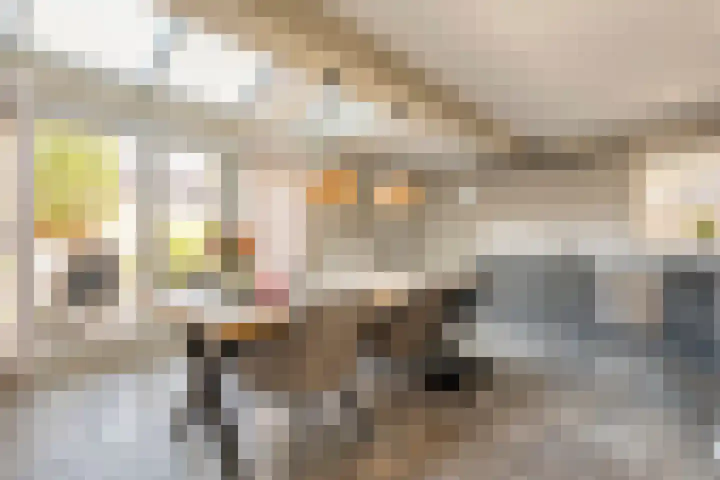 Het Erf 4 Geesteren foto 2