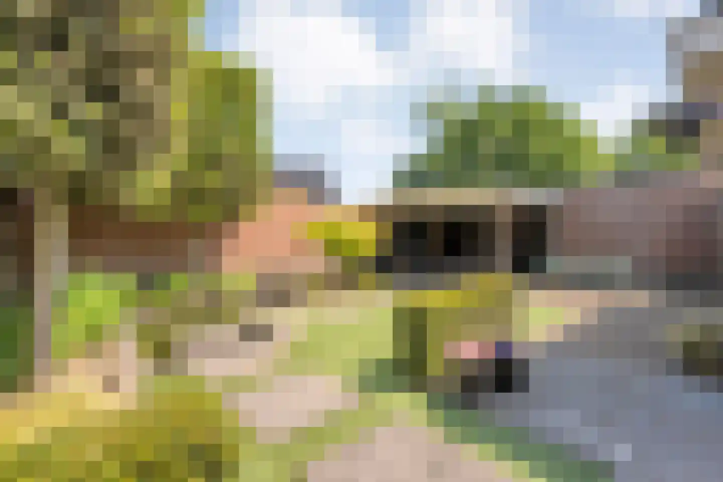 Het Erf 4 Geesteren thumbnail 22