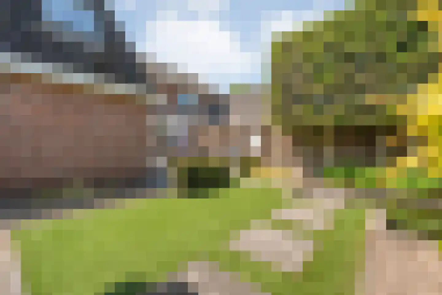 Het Erf 4 Geesteren thumbnail 23