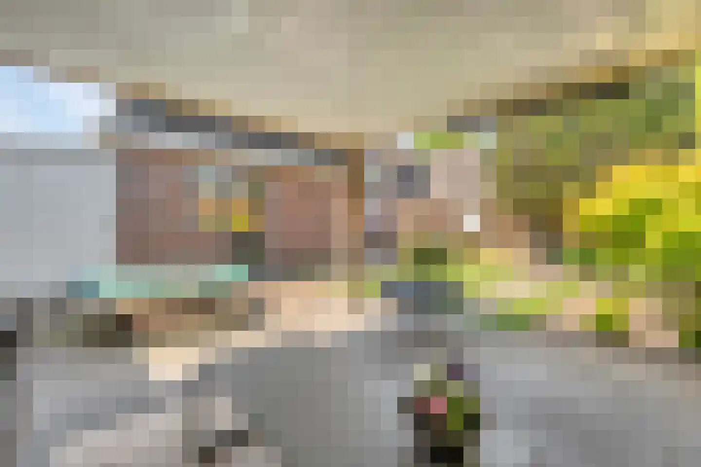 Het Erf 4 Geesteren foto 3