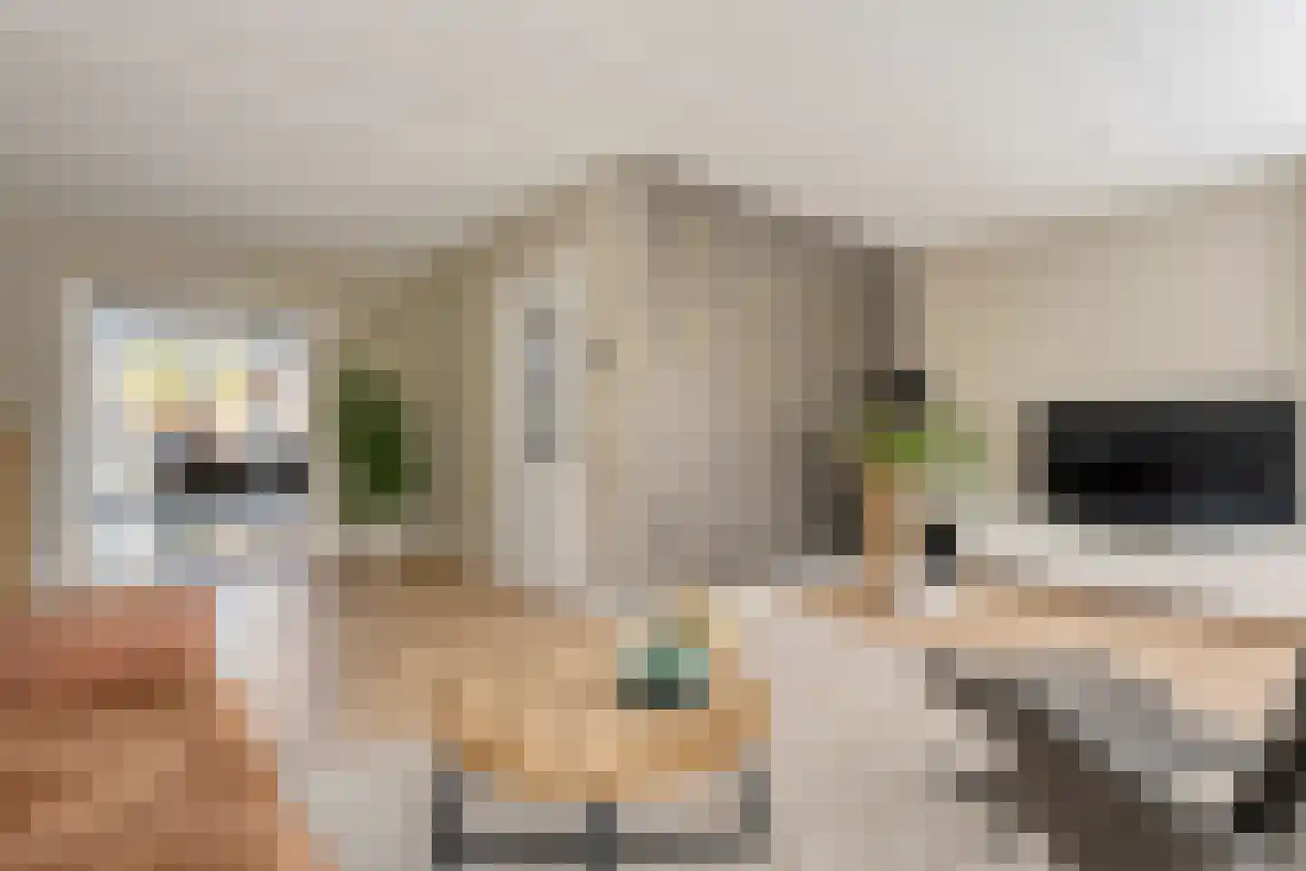 Het Erf 4 Geesteren thumbnail 6