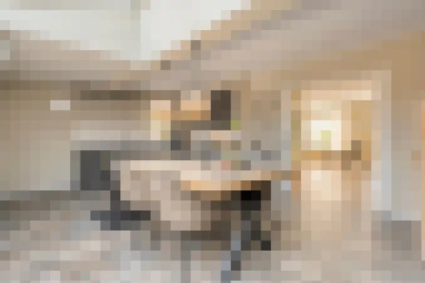 Het Erf 4 Geesteren thumbnail 8