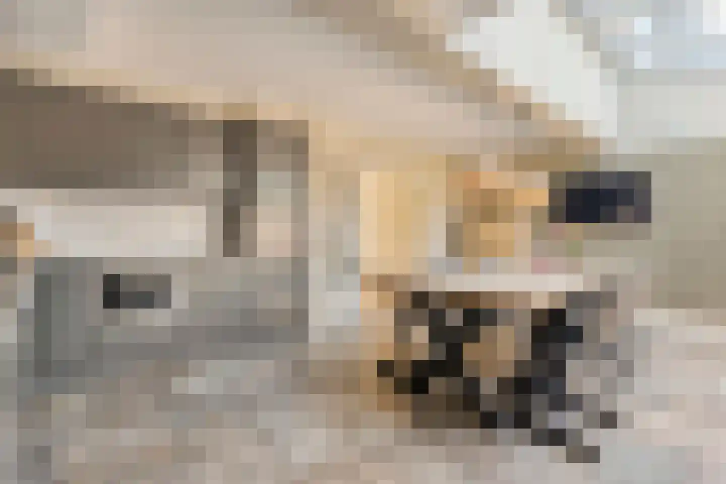 Het Erf 4 Geesteren thumbnail 9