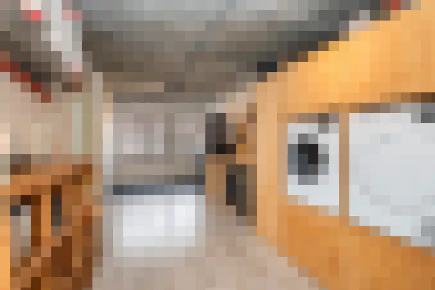 Het Erf 42 Biddinghuizen thumbnail 10