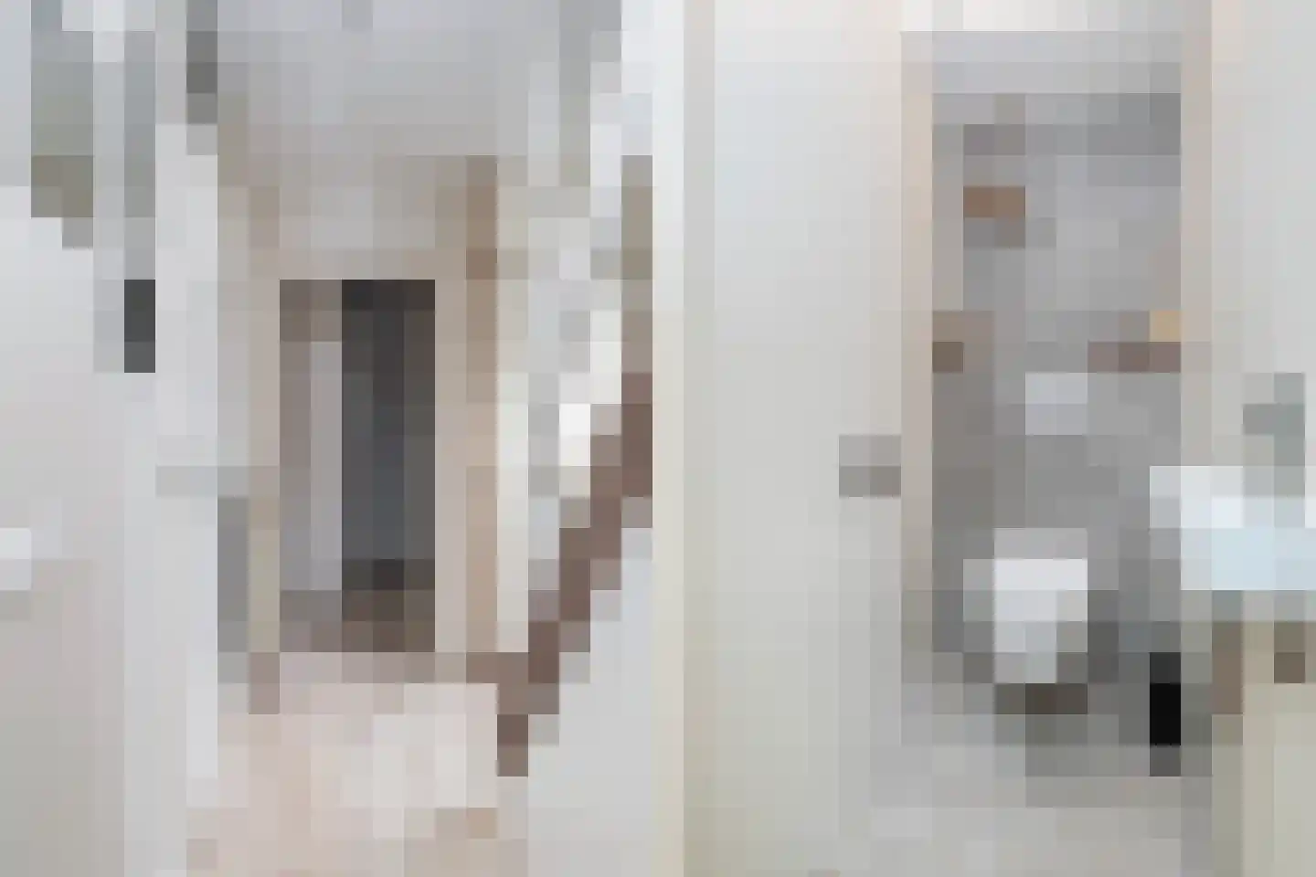 Het Erf 42 Biddinghuizen thumbnail 14