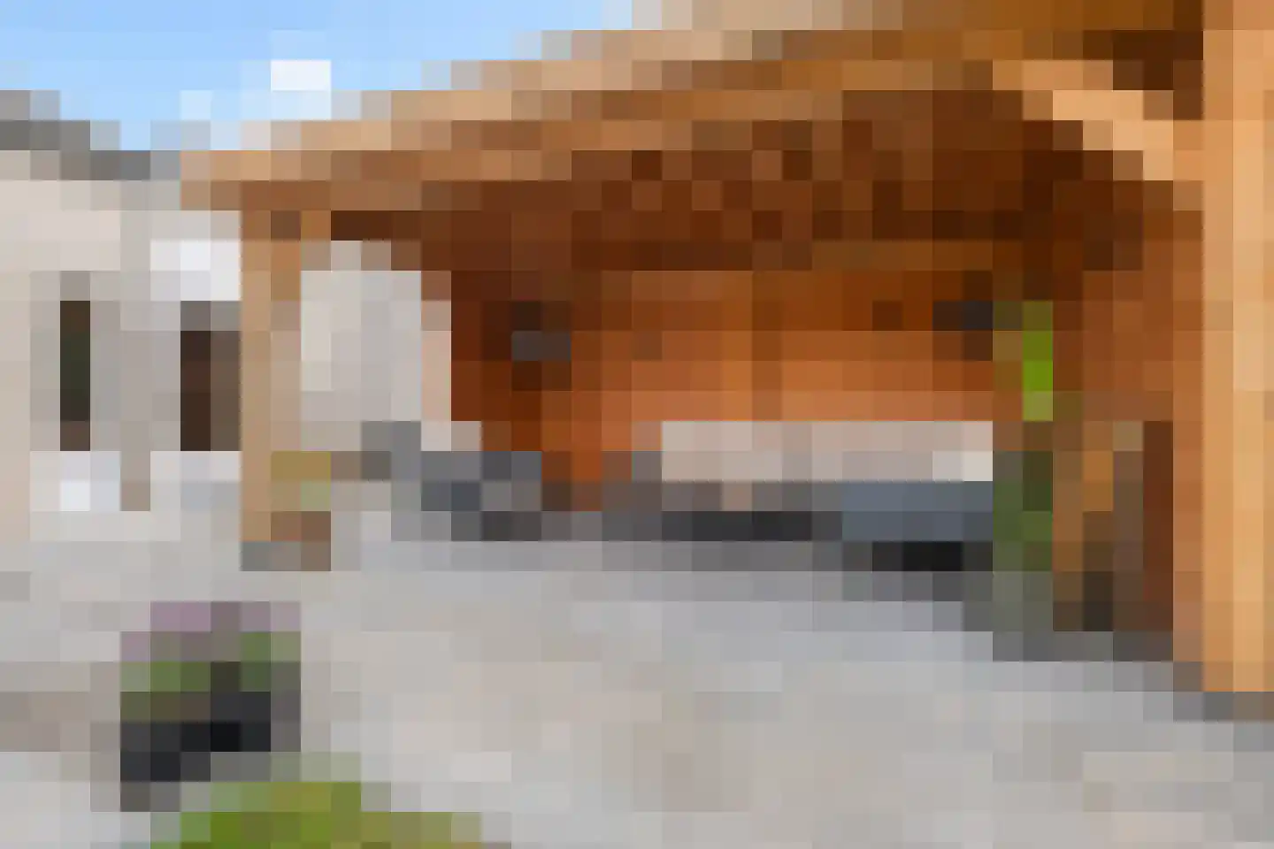 Het Erf 42 Biddinghuizen thumbnail 20