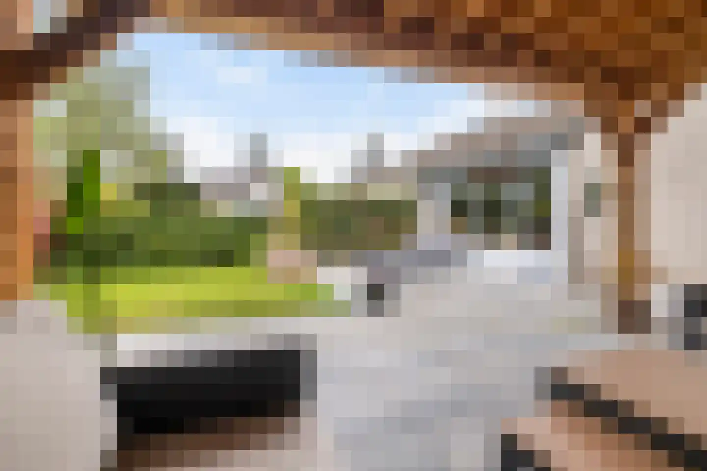 Het Erf 42 Biddinghuizen thumbnail 21