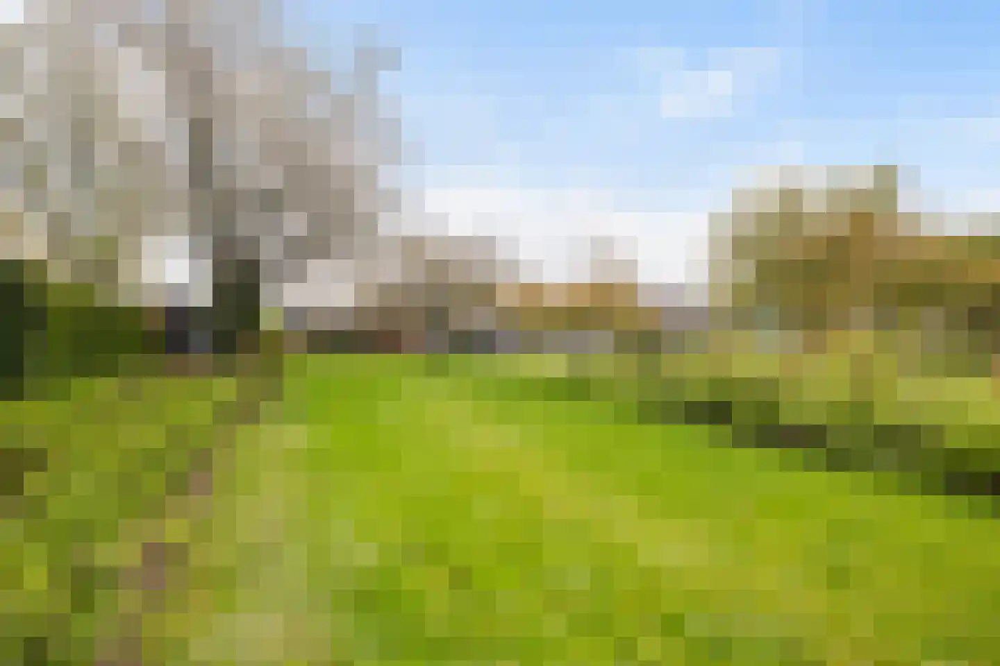 Het Erf 42 Biddinghuizen foto 3