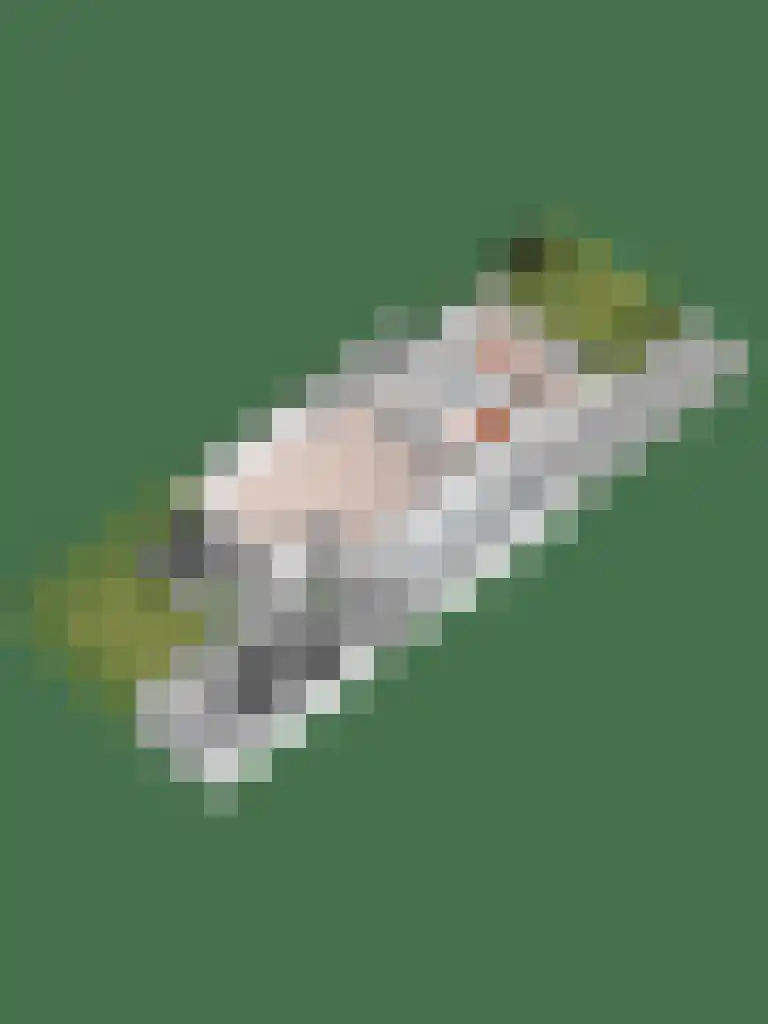 Het Erf 42 Biddinghuizen thumbnail 32