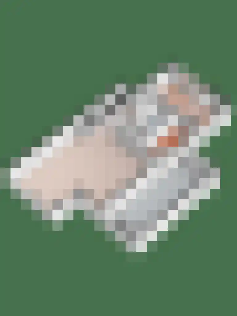 Het Erf 42 Biddinghuizen thumbnail 33