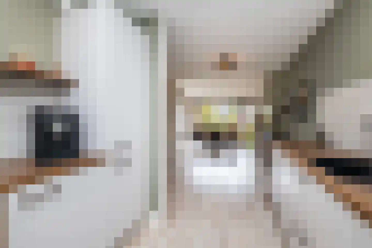 Het Erf 42 Biddinghuizen thumbnail 9