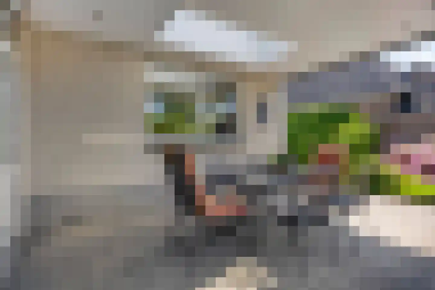 Het Erf 5 Gassel thumbnail 39