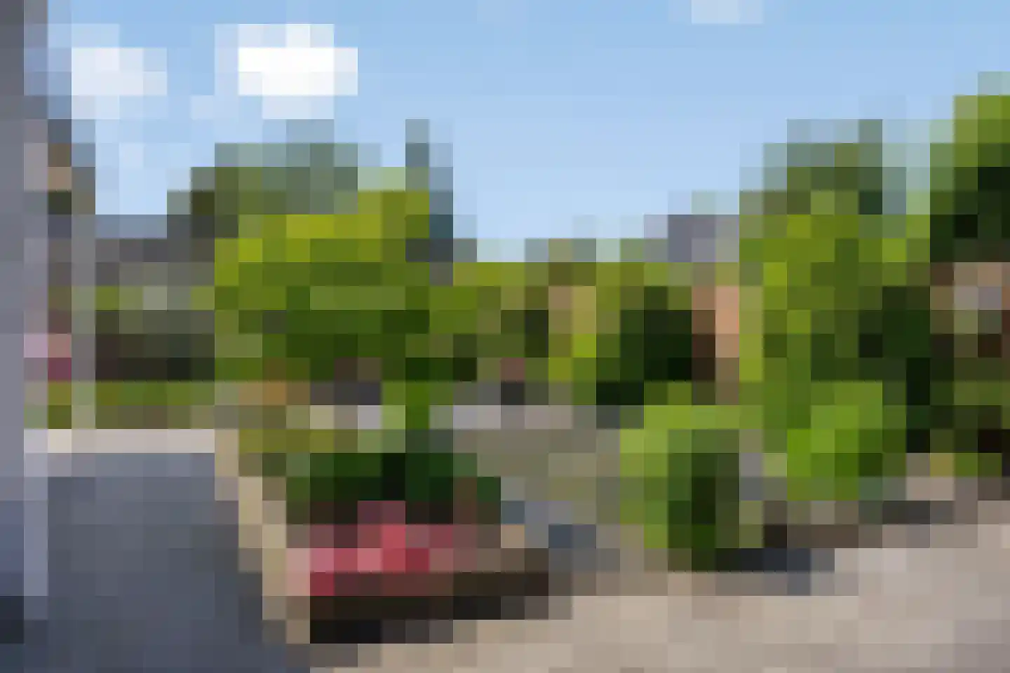 Het Erf 5 Gassel thumbnail 44
