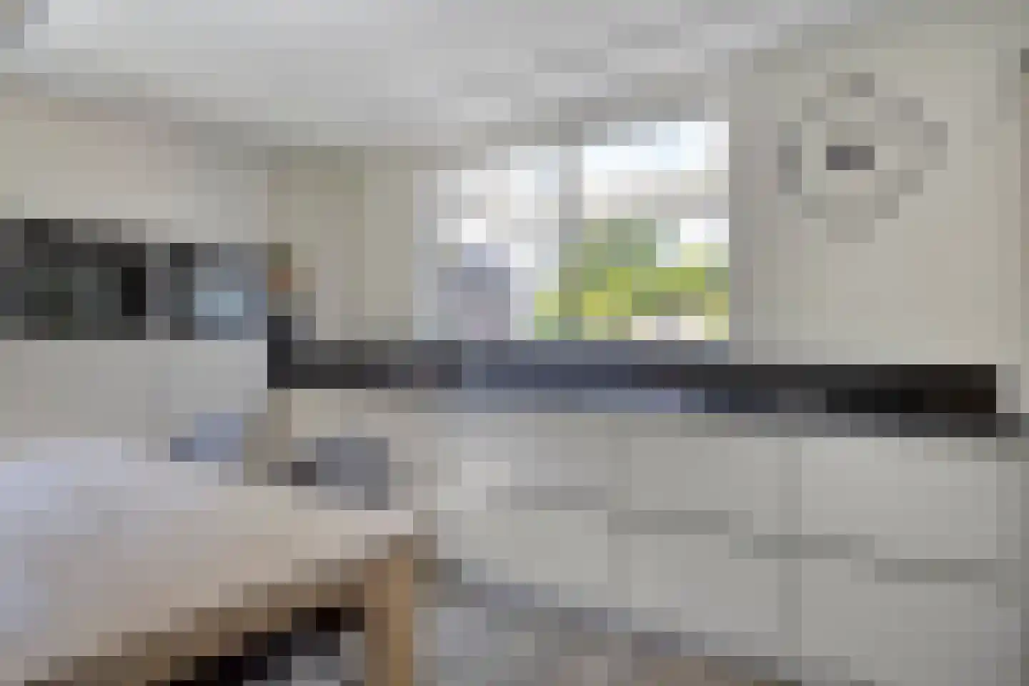 Het Erf 5 Gassel thumbnail 5