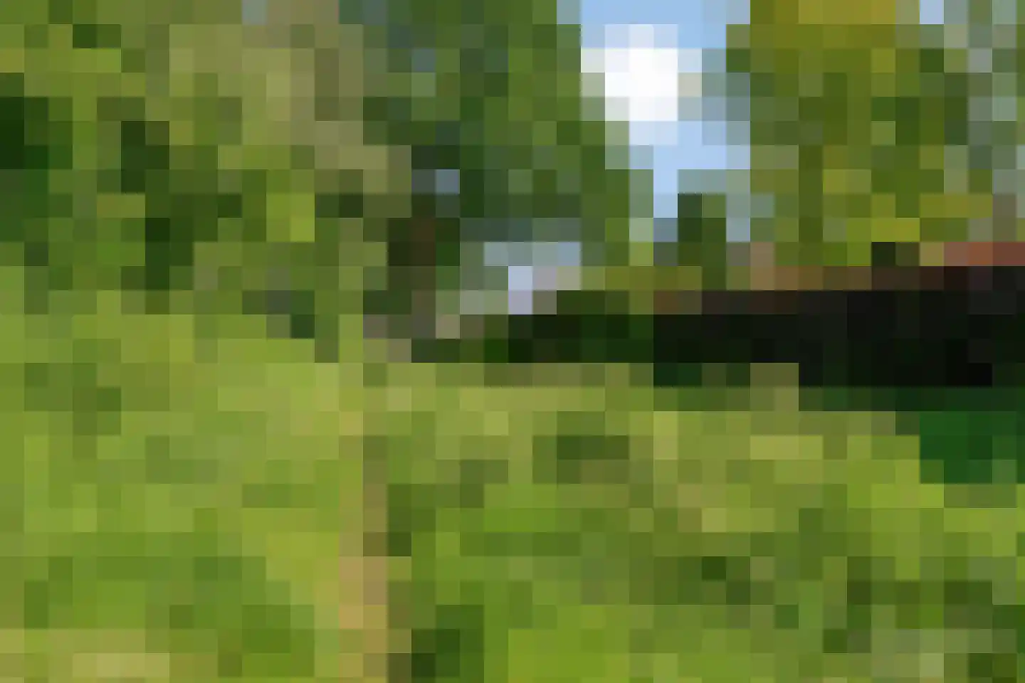 Het Erf 5 Gassel thumbnail 55